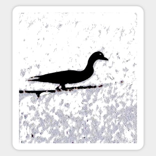 Frozen Duck Duck Shadow Sticker